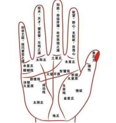 什么样的手相好 好的手相有哪些特征