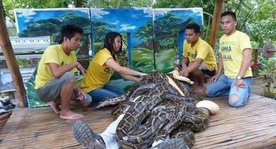 做梦梦见大蟒蛇缠身,被蛇吃掉是什么意思