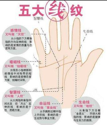 什么样的手相富贵难挡 手相有哪些特征代表富贵