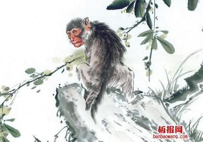 1932年属猴是什么命,1932年出生人的命运