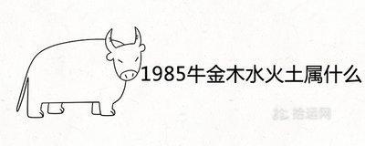 1985年五行属什么 1985年属牛人命运好不好