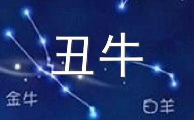 1985年出生的丑牛在2025年中财运如何