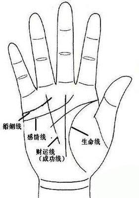 什么样的手相财运比较好 代表财运好的手相分析