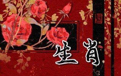1941年属相是什么，1941年出生命运