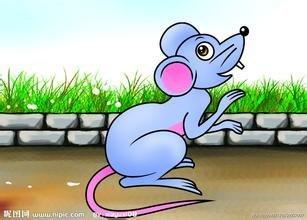 什么样的楼房风水易生病 不利于健康的房屋风水