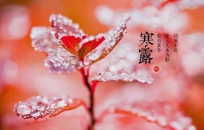 二十四节气养生之寒露，寒露吃什么养生