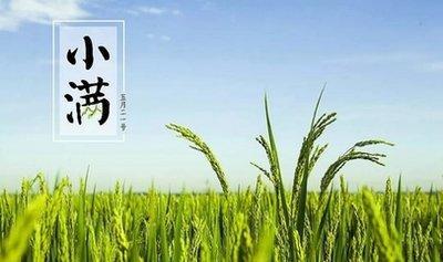 二十四节气养生之寒露，寒露吃什么养生