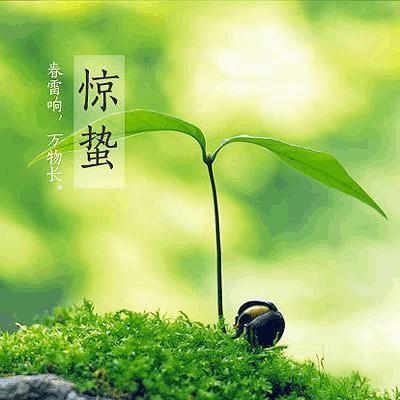 二十四节气养生之惊蛰，惊蛰吃什么养生