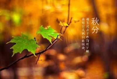 二十四节气养生之秋分，秋分吃什么养生