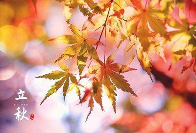 二十四节气养生之立秋，立秋吃什么养生