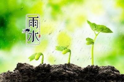 二十四节气养生之雨水，雨水吃什么养生