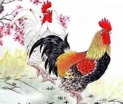 1945年属鸡人2025年运势及运程