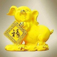 2007年属猪人2025年运势及运程
