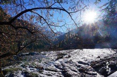 1986年10月15日下午13-15点出生性格、运势和命运