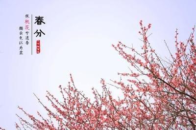 2025年春分日子好不好 春分前一天是四绝日吗