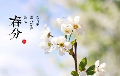 2025年春分是几月几日春分有什么习俗风俗