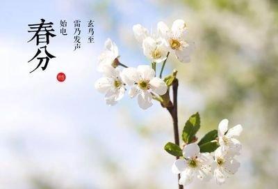 2025年春分节气日子好吗春分要注意什么