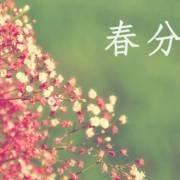 2025年春分节气日子好吗春分要注意什么