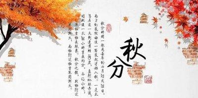1982年12月3日晚上23-24点出生性格、运势和命运
