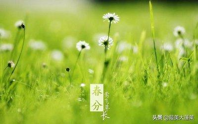2025年春分节气适合出殡吗春捂秋冻捂什么