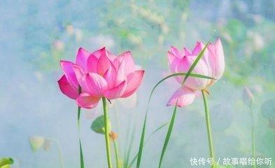 1988年10月23日晚上21-23点出生性格、运势和命运
