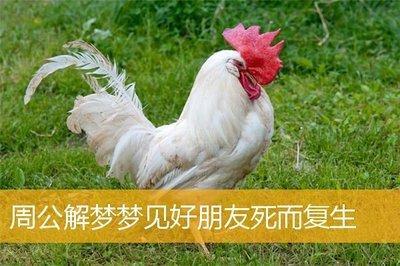 做梦梦见好朋友死而复生意味着是什么意思