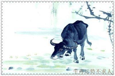 1949年属牛2025年运势及运程