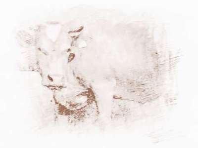 1949年生肖属牛的人2025年运势预测