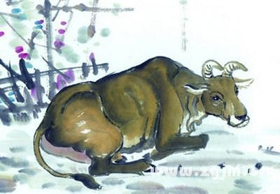 1949年生肖属牛的人2025年运势预测