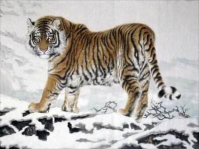 1950年属虎是什么命,1950年出生人的命运