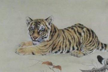 1950年生肖属虎的人2025年运势预测