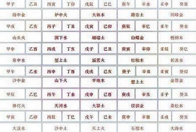 2008年是什么年,2008年是什么生肖年