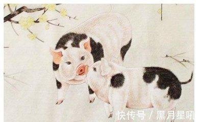 2025年春节前的财运滚滚而来的生肖