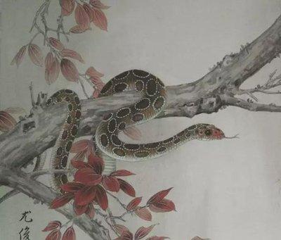二月出生的属蛇人命运好吗来参考一下