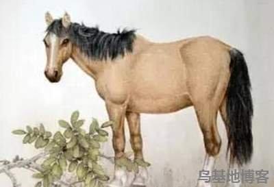 1954年属马2025年上半年运势及运程
