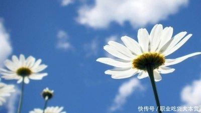 二月生属猴人的命运 属猴人是几月出生才好