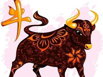 2009年属牛的什么命 蛇年出生的人命运如何