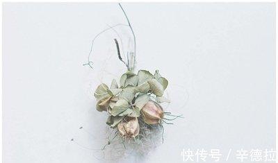 1986年11月12日上午9-11点出生性格、运势和命运