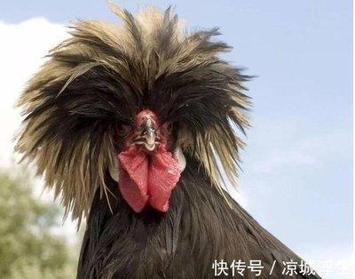 1980年2月26日下午13-15点出生性格、运势和命运