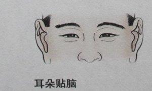 什么样耳朵的人命最好 哪些耳朵面相的人命好