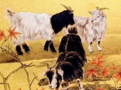 1955年生肖属羊的人2025年运势预测