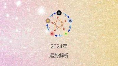 2025年是什么命,2025年是什么生肖年