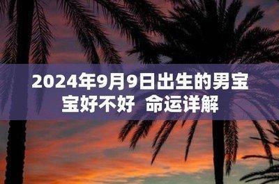 2025年是什么年 2025年出生的人命运怎样
