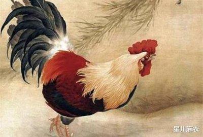 1957年生肖属鸡的人2025年运势预测
