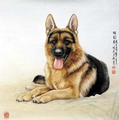1958年属狗的人2025年财运运势