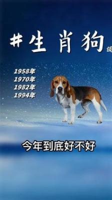 1958年属相是什么，1958年出生命运