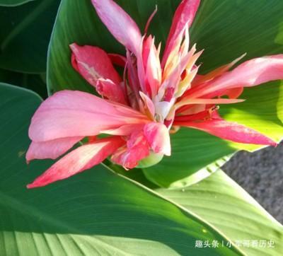 什么生肖不爱打扮 不太注重形象的生肖