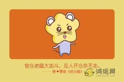 什么生肖不计较 什么都不爱计较的生肖