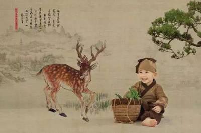什么生肖代表孝顺 最有孝心的生肖是哪几个