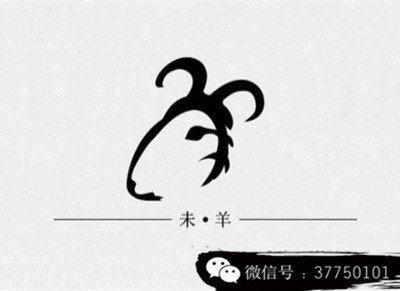 什么生肖会捉准时机  能把握好机会
